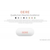 Qere E20 In-Ear TWS Kopfhörer Bluetooth 5.3 mit intelligentem Ladecase und IP54 Zertifizierung - Schwarz