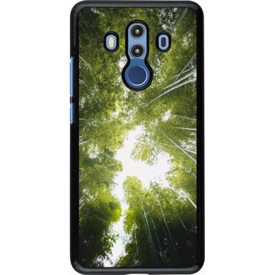 Coque Huawei Mate 10 Pro - Spring 23 forest blue sky