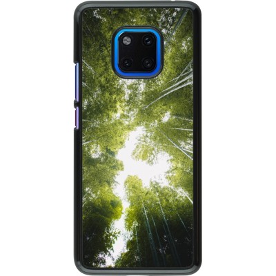 Coque Huawei Mate 20 Pro - Spring 23 forest blue sky