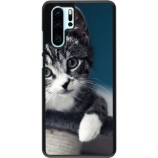 Coque Huawei P30 Pro - Meow 23