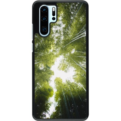 Coque Huawei P30 Pro - Spring 23 forest blue sky