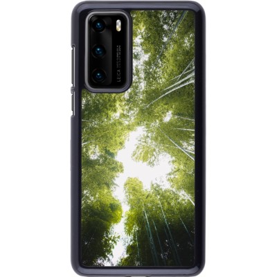 Coque Huawei P40 - Spring 23 forest blue sky