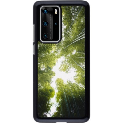 Coque Huawei P40 Pro - Spring 23 forest blue sky