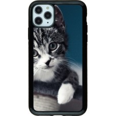 Coque iPhone 11 Pro Max - Hybrid Armor noir Meow 23