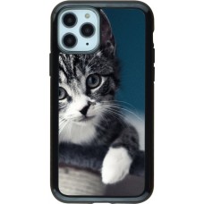 Coque iPhone 11 Pro - Hybrid Armor noir Meow 23