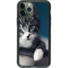 Coque iPhone 11 Pro - Silicone rigide noir Meow 23