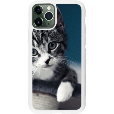 Coque iPhone 11 Pro - Silicone rigide blanc Meow 23