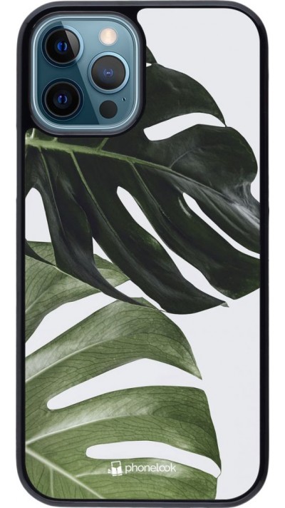 Coque iPhone 12 / 12 Pro - Monstera Plant