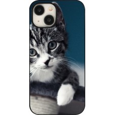 Coque iPhone 15 - Meow 23