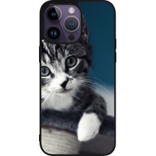 Coque iPhone 15 Pro Max - Silicone rigide noir Meow 23