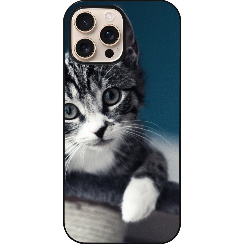 Coque iPhone 16 Pro Max - Meow 23