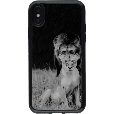 Coque iPhone X / Xs - Gel noir Angry lions