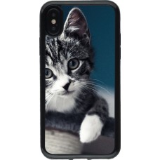 Coque iPhone X / Xs - Gel noir Meow 23