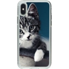 Coque iPhone X / Xs - Gel transparent Meow 23