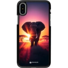 Coque iPhone X / Xs - Elephant Sunrise Beauty