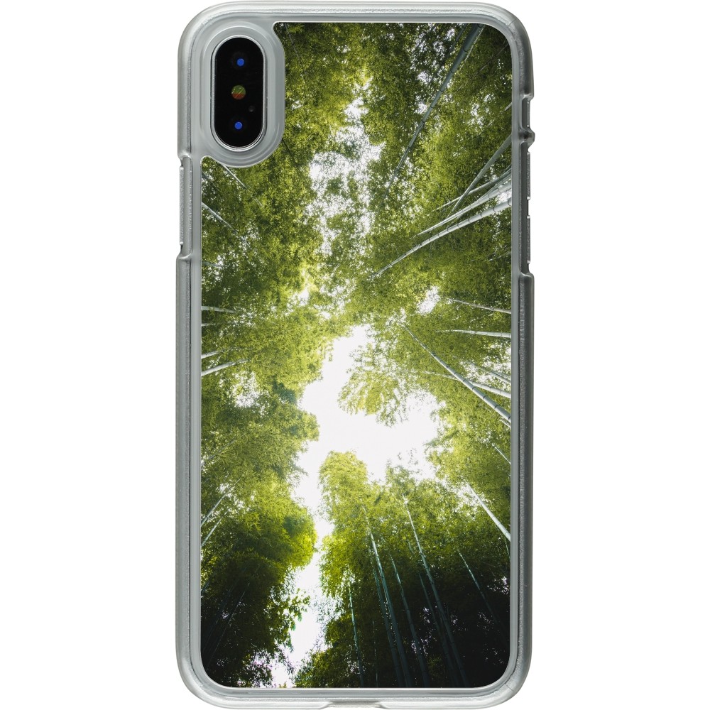 Coque iPhone X / Xs - Plastique transparent Spring 23 forest blue sky