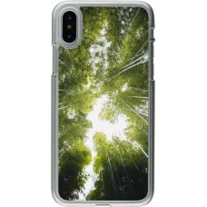 Coque iPhone X / Xs - Plastique transparent Spring 23 forest blue sky