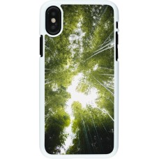 Coque iPhone X / Xs - Plastique blanc Spring 23 forest blue sky