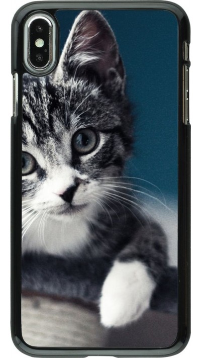 Coque iPhone Xs Max - Meow 23