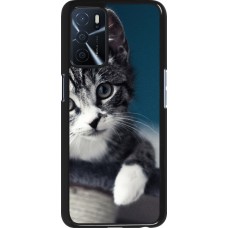 Oppo A16s Case Hülle - Meow 23