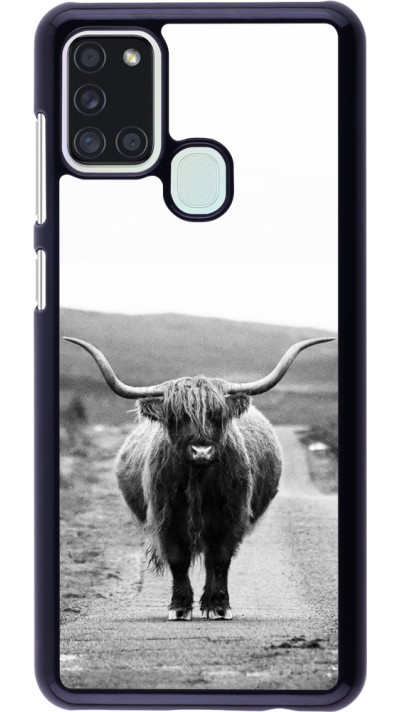 Coque Samsung Galaxy A21s - Highland cattle