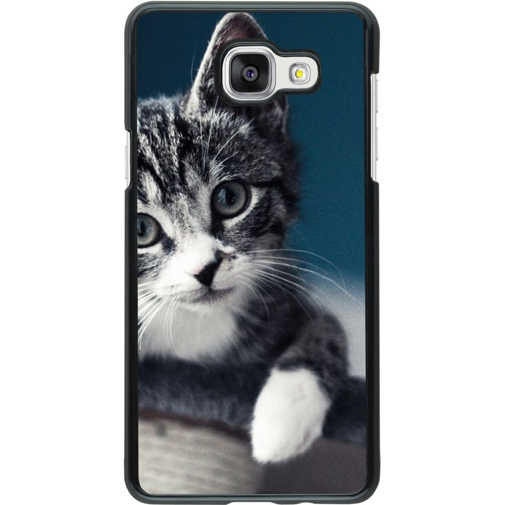 Coque Samsung Galaxy A5 (2016) - Meow 23