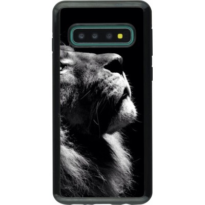 Coque Samsung Galaxy S10 - Hybrid Armor noir Lion looking up