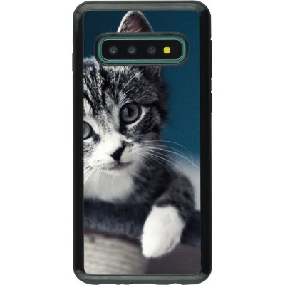 Coque Samsung Galaxy S10 - Hybrid Armor noir Meow 23