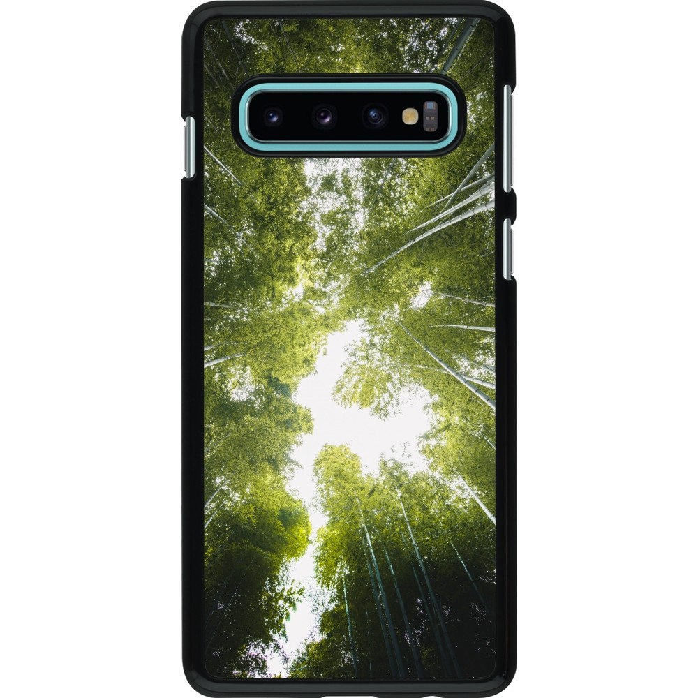 Coque Samsung Galaxy S10 - Spring 23 forest blue sky