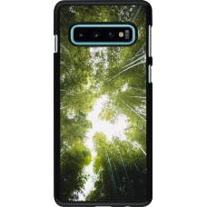 Coque Samsung Galaxy S10 - Spring 23 forest blue sky