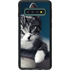 Coque Samsung Galaxy S10 - Silicone rigide noir Meow 23