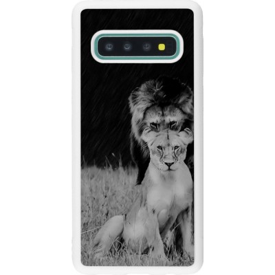 Coque Samsung Galaxy S10 - Silicone rigide blanc Angry lions