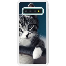 Coque Samsung Galaxy S10 - Silicone rigide blanc Meow 23