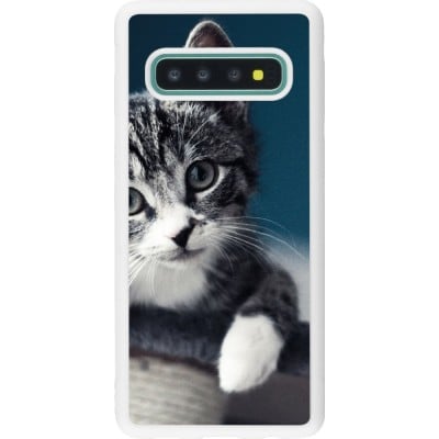 Coque Samsung Galaxy S10 - Silicone rigide blanc Meow 23