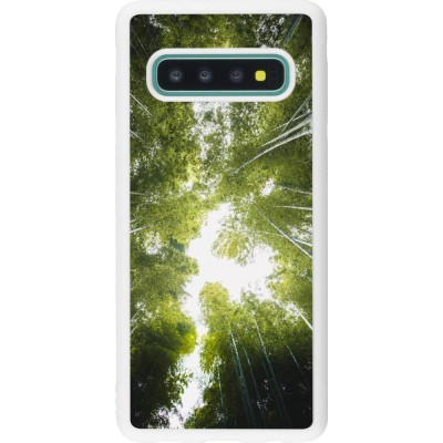 Coque Samsung Galaxy S10 - Silicone rigide blanc Spring 23 forest blue sky