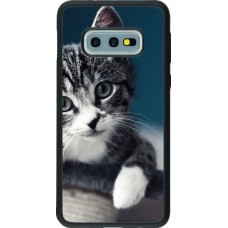 Coque Samsung Galaxy S10e - Silicone rigide noir Meow 23