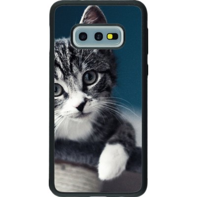 Coque Samsung Galaxy S10e - Silicone rigide noir Meow 23