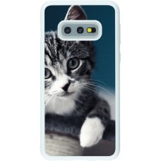 Coque Samsung Galaxy S10e - Silicone rigide blanc Meow 23