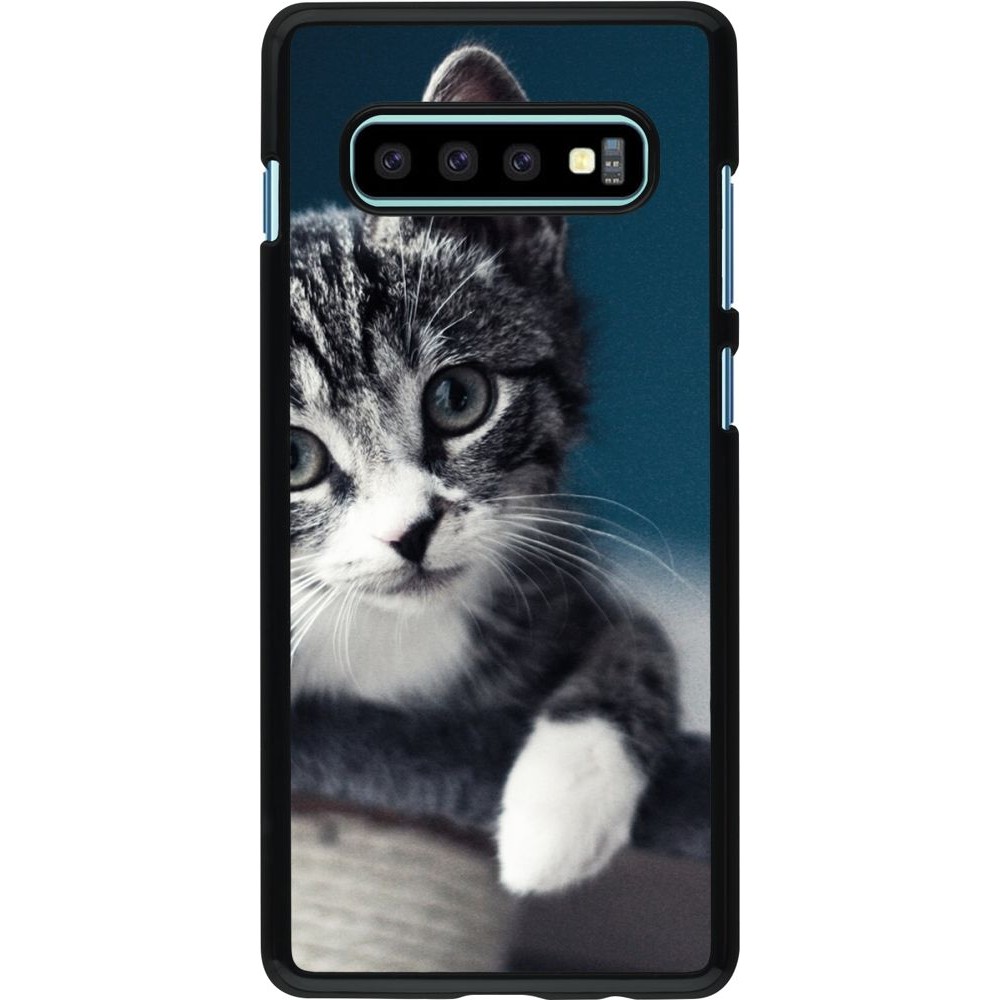 Coque Samsung Galaxy S10+ - Meow 23