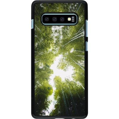 Coque Samsung Galaxy S10+ - Spring 23 forest blue sky