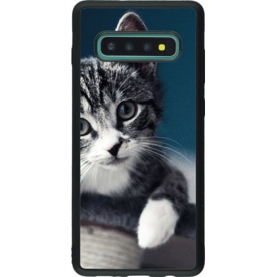 Coque Samsung Galaxy S10+ - Silicone rigide noir Meow 23