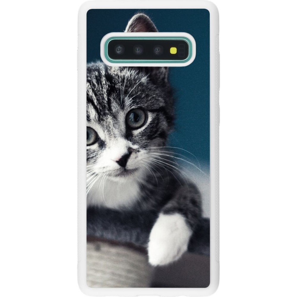 Coque Samsung Galaxy S10+ - Silicone rigide blanc Meow 23