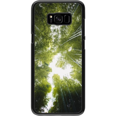 Coque Samsung Galaxy S8+ - Spring 23 forest blue sky