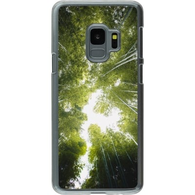 Coque Samsung Galaxy S9 - Plastique transparent Spring 23 forest blue sky