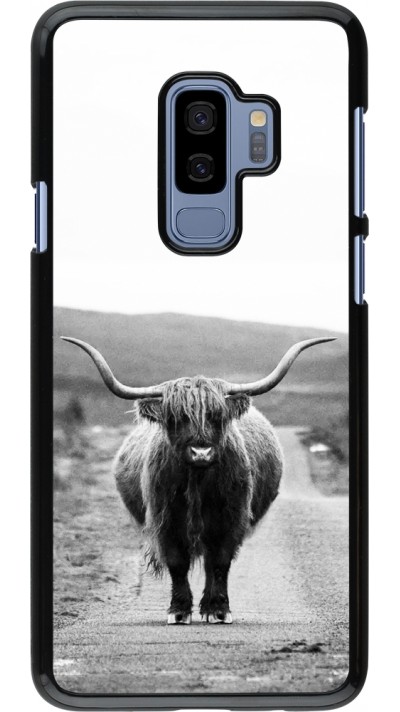 Coque Samsung Galaxy S9+ - Highland cattle