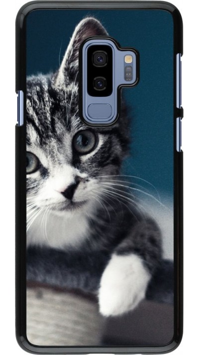 Coque Samsung Galaxy S9+ - Meow 23