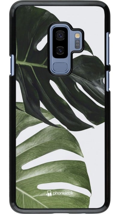 Coque Samsung Galaxy S9+ - Monstera Plant