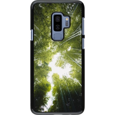 Coque Samsung Galaxy S9+ - Spring 23 forest blue sky