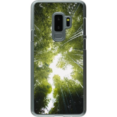 Coque Samsung Galaxy S9+ - Plastique transparent Spring 23 forest blue sky