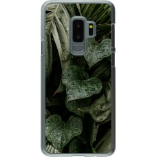 Coque Samsung Galaxy S9+ - Plastique transparent Spring 23 fresh plants